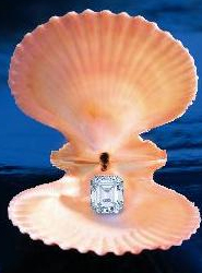 Un diamante de 8.74 quilates, vendido por 5,7 millones de dólares en Hong Kong.