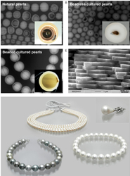 Los expertos analizaron ocho tipos diferentes de perlas. 