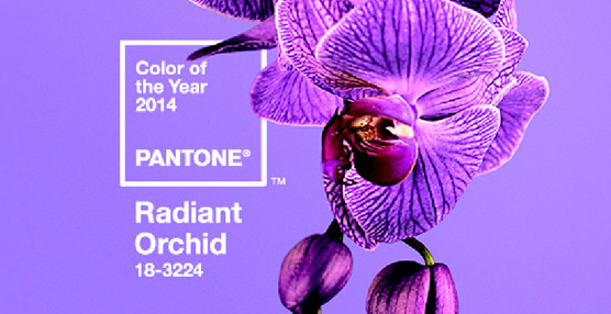 Orquídea, la propuesta de color del fabricante Pantone para este año 2014