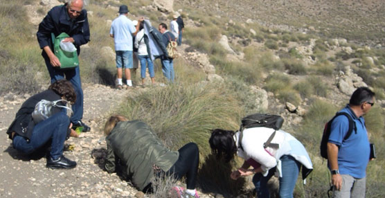 Buscando gemas en el cráter del Hoyazo...