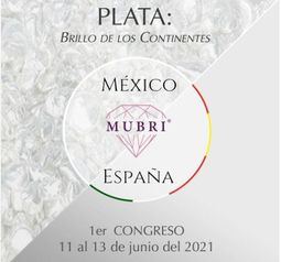 Programa del I Congreso virtual de la Plata