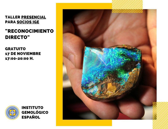 Nuevo taller del IGE: Reconocimiento directo de gemas