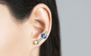 Aristocrazy presenta sus pendientes trepadores