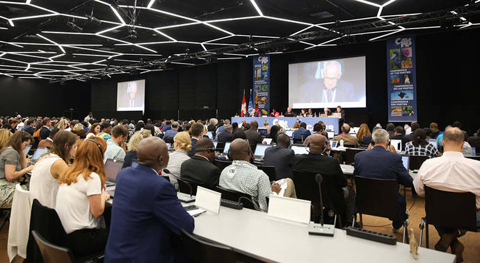 Sesión de clausura del 18º Plenario de CITES celebrado en Ginebra. 