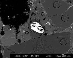 Imagen electroscópica del ópalo con inclusiones de minerales metálicos. Los agujeros circulares corresponden a los puntos donde se han llevado a cabo análisis de láser . Imagen: H. Downes.
