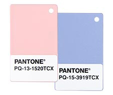 Pantone con la igualdad de género