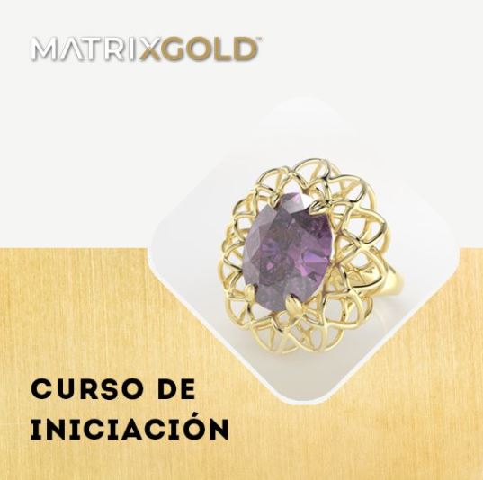 Arranca una nueva edición del curso MatrixGold