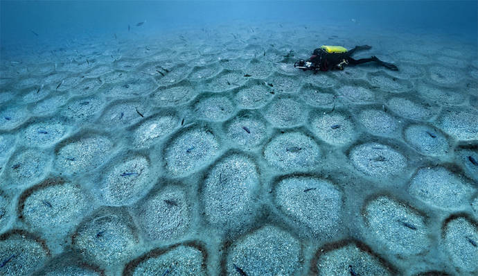 Blancpain financia una campaña para analizar los efectos del Covid sobre el fondo marino