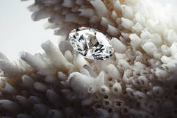 Un diamante creado en laboratorio. 