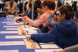 Actividades dedicadas a los más pequeños amantes de los minerales.