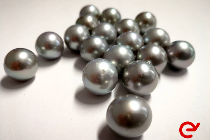 Nueva subasta exclusiva para profesionales:125 lotes de perlas cultivadas