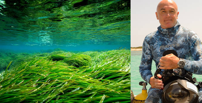 Imagen de una pradera de Posidonia del biólogo y fotógrafo marino Manu San Félix. 