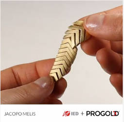 El italiano Jacopo Melis se hizo con el premio del jurado técnico con una pieza llamada 'Reptil' elaborada en oro amarillo.