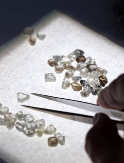 El Espíritu de la Rosa salva los resultados de Alrosa en 2020