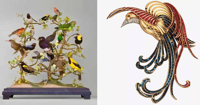 Las aves del Paraíso en el imaginario de Van Cleef &amp; Arpels